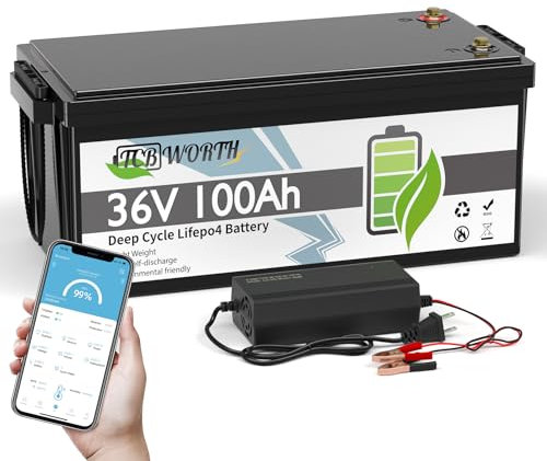 TCBWORTH LiFePO4 36V 100Ah Bluetooth Batterie al Litio 100A BMS, a Bassa Temperatura e 4000+ Ciclo Profondo, per Carrello da golf, Camper, Barca, Motore da traino, Campeggio