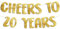 Sterling James Co. Goldfarbenes Glitzerbanner zum 20. Jahrestag und Geburtstag, Party-Dekoration
