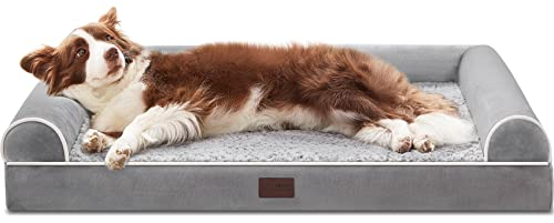 WESTERN HOME Hundebett Grosse Hunde Hundekörbchen Mittelgroße Hunde, Orthopädisches Hundebett Abwaschbar Mit Rand Grau L 71 x B 58 x H 16.5 cm
