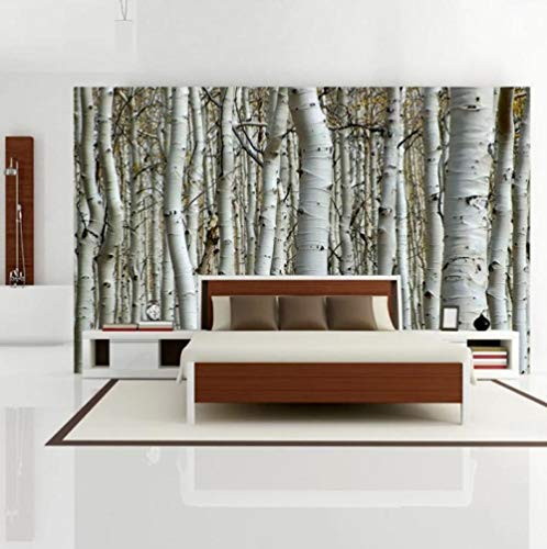 Benutzerdefinierte Tapete 3D Nahtlose Wandbild Weiße Birke Wald Wandmalerei Dekor Schlafzimmer Wohnzimmer Hintergrund Tapete Wandverkleidung*250cmx175cm(98.4x68.9inch)