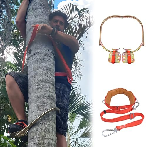 Griffe elagage Crampons pour Grimper Aux Arbres, Équipement d'escalade Portable pour L'élagage, La Coupe, Chasse Et Cueillette des Fruits, Support De Poteau(300mm (11.8in))