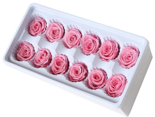 VINTORKY Rose Stabilizzate 12 Pezzi Rosa Piccole Decorazioni Matrimonio Fiore Eterno Accessori Bomboniere Per Feste E Allestimenti Casa