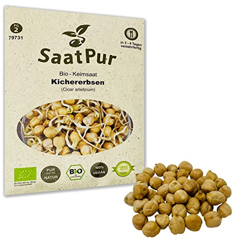 Kichererbsen BIO Keimsprossen von SaatPur - Keimsaat Sprossensaat - 90 g