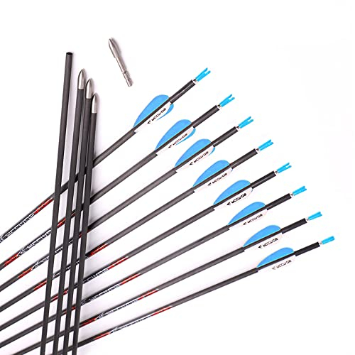 ACCMOS Bogensport Reinem Carbon Pfeil Spine 1000 ID 4,2 mm Jagdpfeil,30inch, für Recurve Bogen Compoundbögen Traditioneller Bogen 12 St (Spine 1000, 30inch)