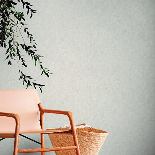 A.S. Création Plain Wallpaper Used Look Grey Beige - Natural Living 386395 - PVC-Free Non-Woven Wallpaper Plain - 10.05 x 0.53 m Made in Germany