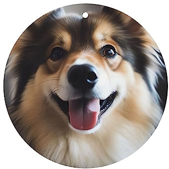 Tier Hund Foto Auto Lufterfrischer Hängende Auto Aromatherapie Tabletten Lufterfrischer Duft Duftkarten mit Seil für Auto Innendekoration 6 Pcs