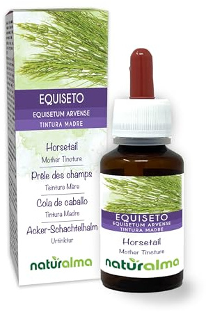 Equiseto o Coda cavallina (Equisetum arvense) erba Tintura Madre analcoolica Naturalma - Estratto liquido gocce 60 ml - Integratore alimentare - Vegano