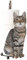 Toilet Paper Holders Cat Shape Tissue Dispenser Bathroom Toilet Roll Orgainzer for Kitchen Table Grey..
