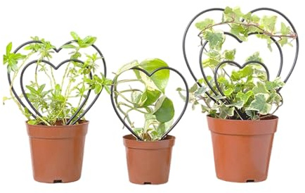 Rankgitter für Pflanzen, künstlerischer Metallständer für Ranken, Gartenstruktur – für Familiengärtnerei zu Hause und drinnen draußen und im Garten