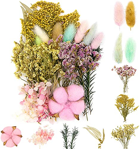 iDattel Natürliche Getrocknete Blumen,Blumen Natürliche Gemischte,DIY Natürliche Getrocknet Blumen Set für Kunst Basteln DIY Harz Scrapbooking Handwerk Karten Machen（rosa）