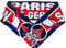 Paris Schal PSG Fanschal Fussball Schal