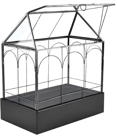 HighFree Großes Glas-Terrarium-Pflanzgefäß mit wasserdichtem Tablett, für Sukkulenten, Kakteen, Schnecken, Spinnen und Miniatur-Reptilien, Schwarz, 30 cm