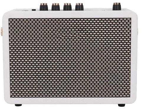 Amplificador de guitarra pequeño, 10 W Distorsión limpia de dos canales prácticos con efecto de reverberación, conectividad Bluetooth, control de volumen independiente, resistencia