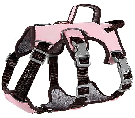 LAVAMOND Hundegeschirr, weich gepolstert, mit Hebegriff und Leinenclip, kein Ziehen, ausbruchsicher, reflektierend, verstellbar für kleine, mittelgroße Hunde (Rosa, L)