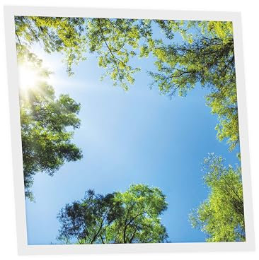 Générique Dalle LED Imprimée 60x60 cm - Motif Mystère Forestier - Lumière Blanc Neutre 4000K - Panneau Lumineux pour Plafond Bureau Salon Cuisine - Facile à Installer