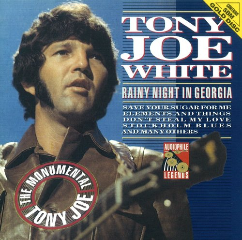 Rainy Night in Georgia