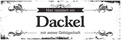 Schild Vintage Shabby Geschenk Holzschild Hundeschild Dackel Türschild