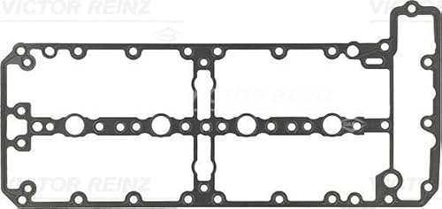 Reinz 71-43018-00 DANA