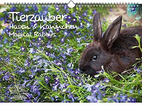 Hasenzauber Hasen und Kaninchen DIN A3 Kalender - Immerwährender Kalender - Seelenzauber