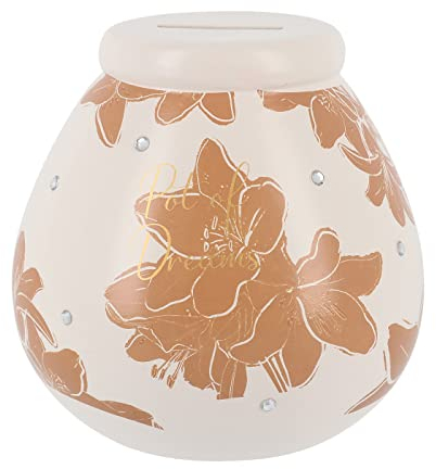 Pot Of Dreams Ceramic Money Pot, Pink Floral, One Size