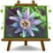 Passionsblume Allardii Kletterpflanze im 17 cm Topf, Höhe 70 cm