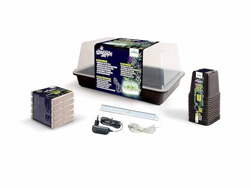 Romberg Basic Starter Box (38 × 24 × 19 cm, für Fensterbänke und Balkon, für Kräuter und Pflanzen, Anzucht Pflanzen, Pflanzenzucht, Anzuchtzubehör) 12094309