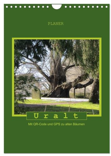 Uralt - Mit QR-Code und GPS zu alten Bäumen (Wandkalender 2026 DIN A4 hoch), CALVENDO Monatskalender (CALVENDO Natur)