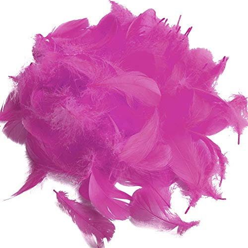 Suneast 300 Stücke Federn Dekoration Natürliche Gänsefedern Weiche Crafts Feather Indianer Federn für Traumfänger Basteln, Kostüme Hüte Schmuck Deko, DIY Ohrring - Rose, 8-12cm