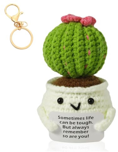 Positive Funny Cactus, Pocket Hug Cactus Doll with Positive Affirmation Cards & Key Ring, Cute Emotional Support Cactus Decor, Good Luck Cheer Up Gifts for Adults Kids Friends Colleagues Graduation