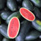 120 Pcs Wassermelone Samen Bio - Säulenobst Balkonpflanzen, Sträucher Winterhart Blühend Wassermelone Samen, Obstbaum, Obst Samen, Steingartenpflanzen Winterhart Bäume Garten Winterhart,