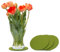 FILU Filzuntersetzer rund 15cm 4er Pack (Farbe wählbar) Grün - Untersetzer aus Filz für Tisch und Bar als Glasuntersetzer/Getränkeuntersetzer für Glas und Gläser