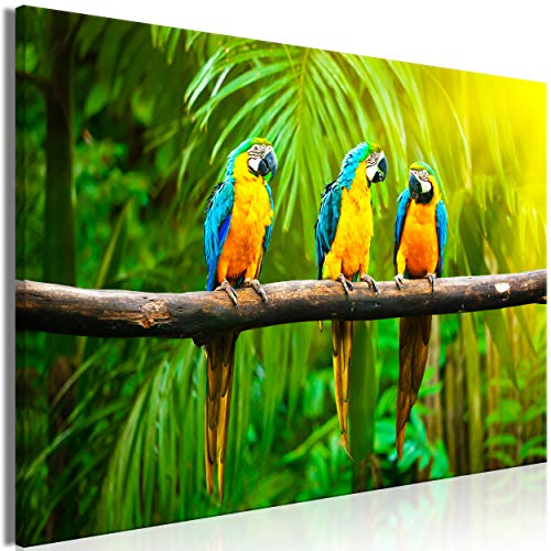 decomonkey Bilder Tiere Papageien 60x40 cm 1 Teilig Leinwandbilder Bild auf Leinwand Vlies Wandbild Kunstdruck Wanddeko Wand Wohnzimmer Wanddekoration Deko Pflanzen Natur