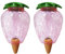 Dosatore Acqua Per Piante In Vaso, Irrigazione Automatica Vasi, Globi Di Irrigazione Per Piante, Coni Di Argilla Sfere Per Irrigazione Piante Flebo Innaffiatori Innaffiare Piante Set Di 2 (fragola)