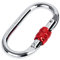 Climbing Carabiner, Heavy Duty O-Shaped Locking Carabiner Clip Industrial Strength Twist Lock Carabiners Clips with Screwgate for Camping Hiking Swing Gym Hammock