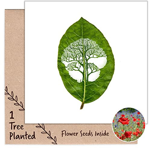 1 Tree Cards Tree Planting Gift & Plantable Seed Card that Grows Flowers - Arborist Tree Surgeon Gift - Thank You, Birthday, Engagement - Blank Husband, Aunt, Uncle (Tree)