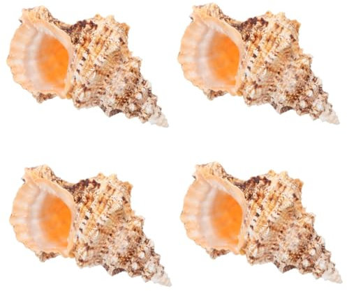 PRETYZOOM 4 Stück Muschel Blumenarrangement Eimer Hydrokultur Vase Dekorieren Übertopf Blumentöpfe Blumenvase Aquarium Muschel Dekoration Natürliche Muschel Bastelarbeiten Muschel