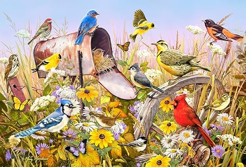 Cobble Hill 2000 Teile Puzzle – Feldlied – Musterposter im Lieferumfang enthalten