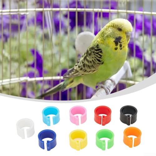 Lot de 100 anneaux de poussins de 8 mm pour oiseaux, perroquets, pigeons, en plastique, assortis, faciles à utiliser et réutilisables