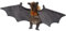 Carl Dick Flughund, Flying Fox, Fledermaus Plüschtier, Kuscheltier ca. 23cm, ca. 60cm Spannweite 3339