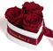 ROSEMARIE SCHULZ Heidelberg Infinity Rosenbox Herz Wunschtext personalisiert - 3 ewige Rosen dunkelrot in Box 10x12cm haltbar 3 Jahre - persönliche Geschenk Freundin (Wunschtext, Burgundy)