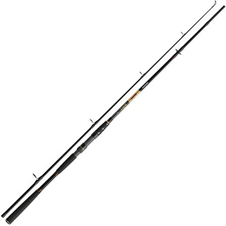 Cormoran Seacore BAT Pilk 2,40m 100-200g Rute