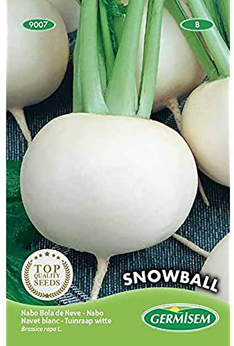 Germisem Rüben SNOWBALL, mehrfarbig, EC9007