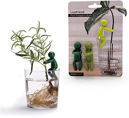 Leafriend: Supporto per Piante da Interno – 3 Sostegni Deliziosi per Steli e Germogli – Regalo Perfetto per Amanti delle Piante di Peleg Design