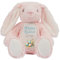 Personalised Easter Bunny with Name - Happy Easter Egg Basket Blue - Soft Toy for Baby, Toddler, Child, Kids, Babies Spring Time - Blue Letter Pin Bunny