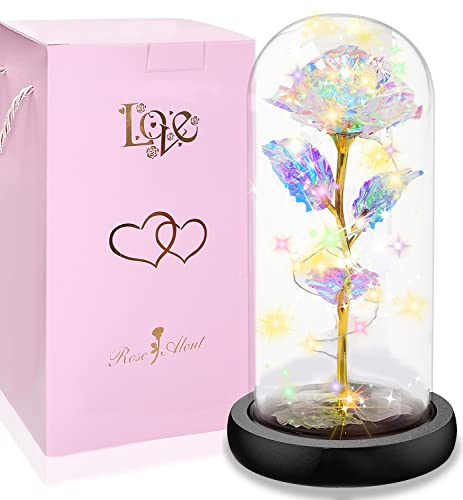 Ewige Rose im Glas mit LED-Beleuchtung - Schöne und das Biest Design - Künstliche Rugosa-Rose als Romantisches Geschenk für Valentinstag, Geburtstag, Mama, Freundin(Farbe Licht)