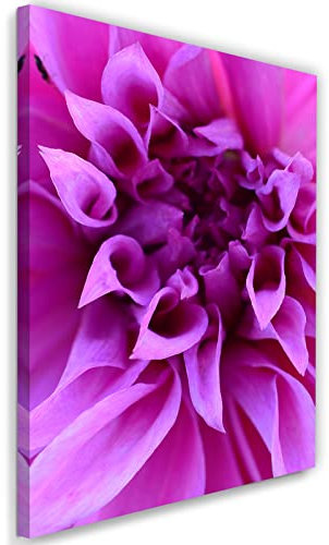 Feeby Impression sur Toile Intissé Pétales Nature Fleurs Plantes 30x45 cm Image Moderne Tableau Déco Mural Salle De Séjour Calice Gros plan Macro violet