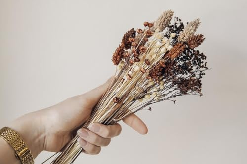 Flowerbar Tauschpaket | Trockenblumen für Flowerbar, Flowerboard, Flowergram, Blumenleiste | Getrocknete Blumen (Gold Richtig, L (für Holzleiste 120 cm))