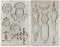 Vintage Barock Gipsformen Betonform für Kamee Medaillon Rosette Ornament Tortendeko