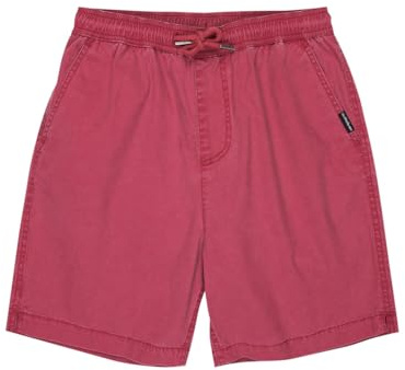 Quiksilver Jungen Shorts Taxer Youth