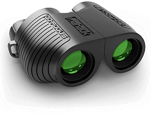 Kompaktes Mini-Fernglas mit Autofokus für Erwachsene und Kinder, 40 bis 1000 m, 10fache Vergrößerung, bietet ideales Blickfeld mit wackelfreier Stabilität.